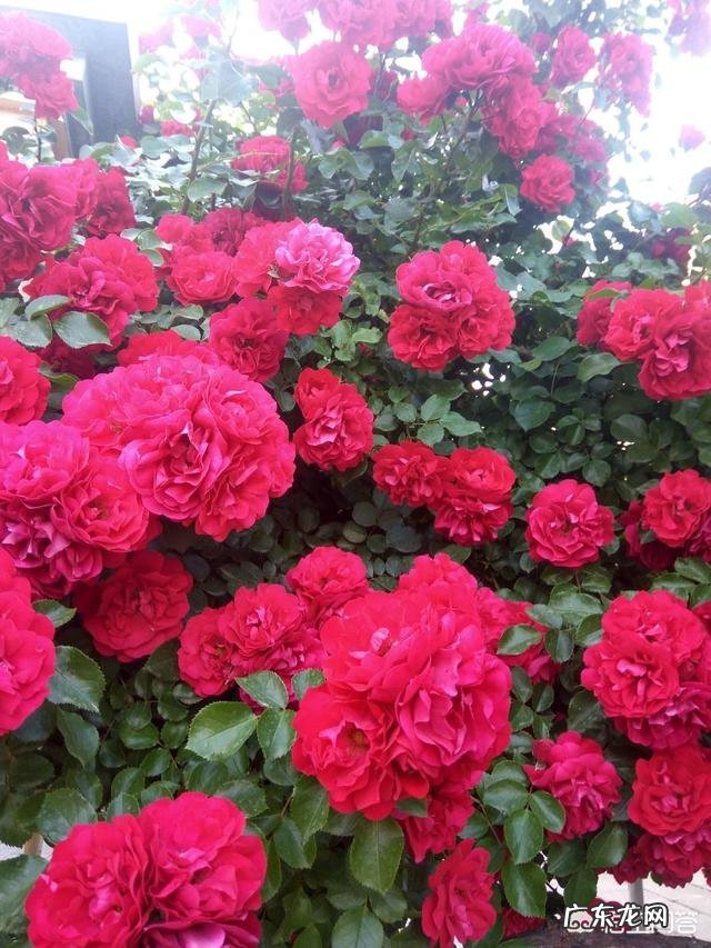 如何成为有个性的女生？