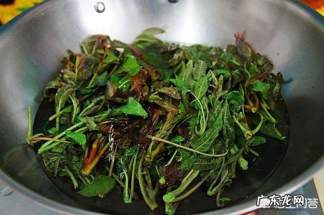 香椿炒鸡蛋是先放鸡蛋还是先放香椿?为什么?