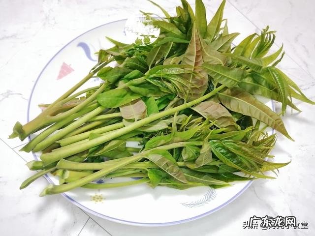 香椿炒鸡蛋是先放鸡蛋还是先放香椿?为什么?