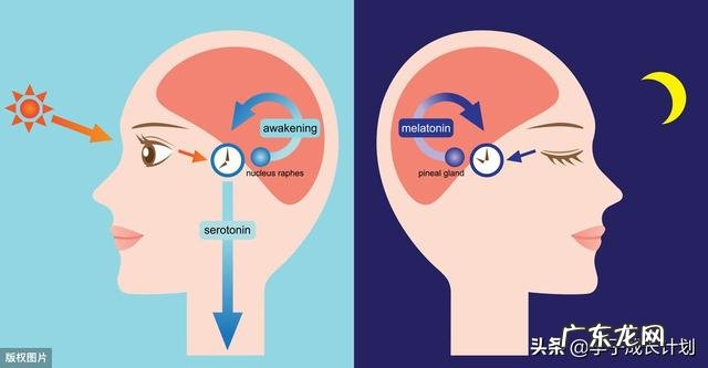 小学阶段，孩子需要培养哪些良好的学习习惯？