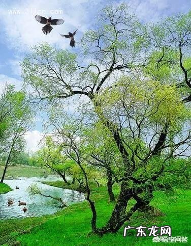 小学阶段,孩子需要培养哪些良好的学习习惯?