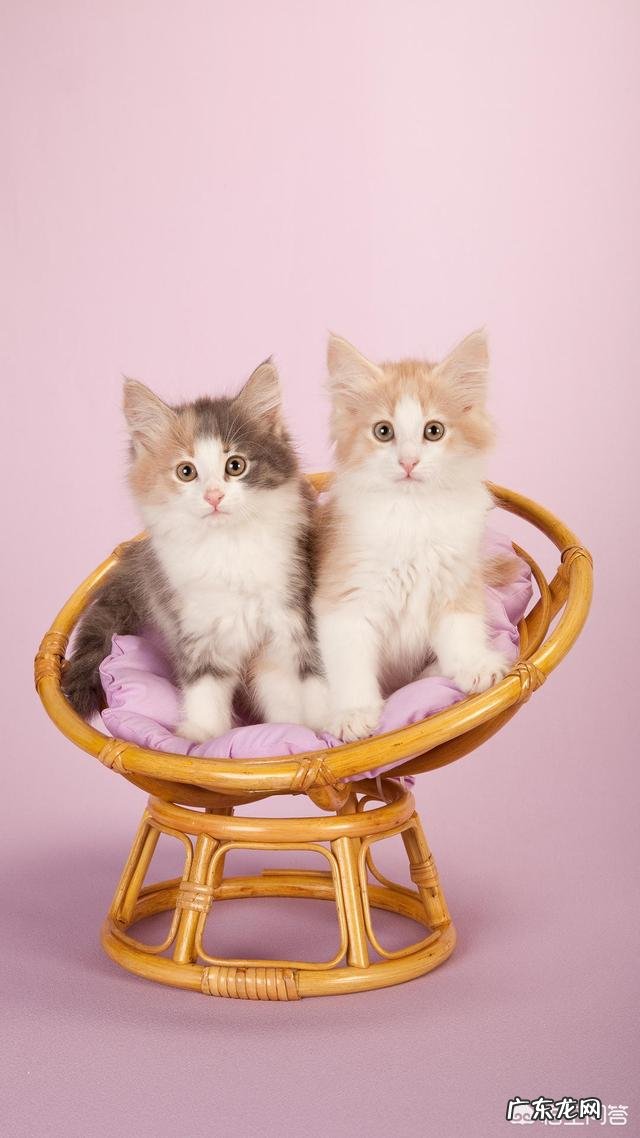 因为自卑,不敢主动追求喜欢的人,该如何是好?