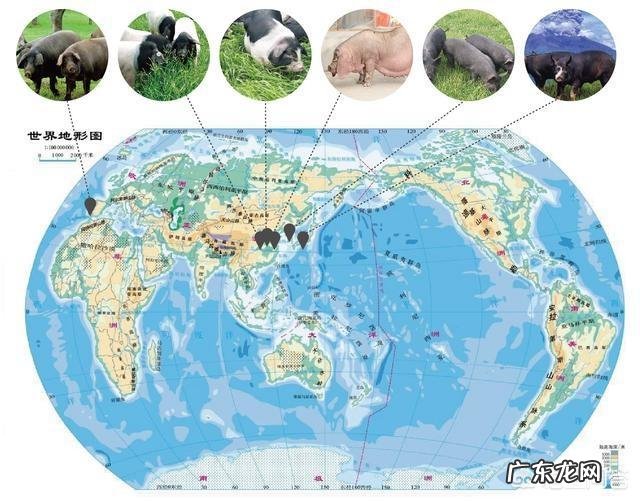 为什么北纬30度有那么多人类未解之谜？