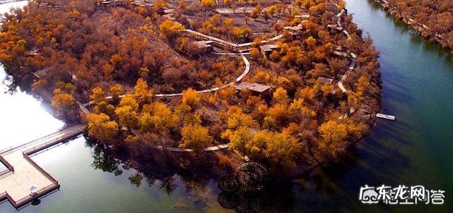 有三个胡杨林的地方,请问哪个更好一点,酒泉金塔,内蒙古,新疆?