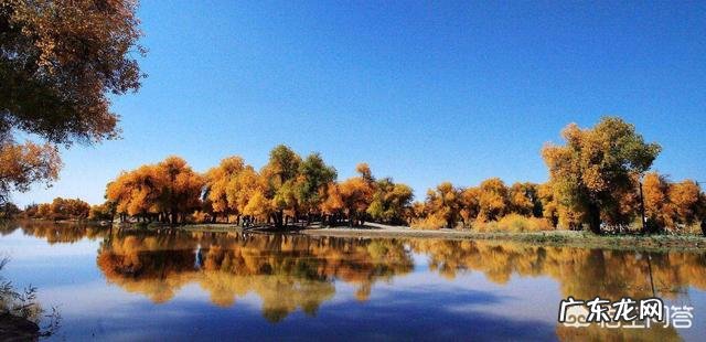 有三个胡杨林的地方，请问哪个更好一点，酒泉金塔，内蒙古，新疆？