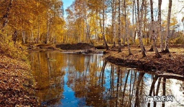 有三个胡杨林的地方，请问哪个更好一点，酒泉金塔，内蒙古，新疆？