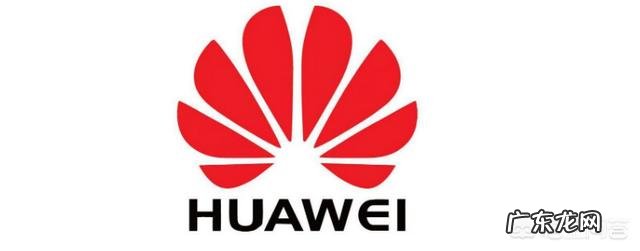 谁是华为接班人?