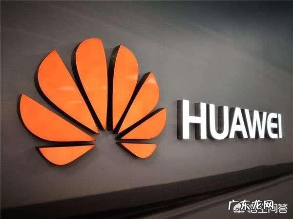 谁是华为接班人？