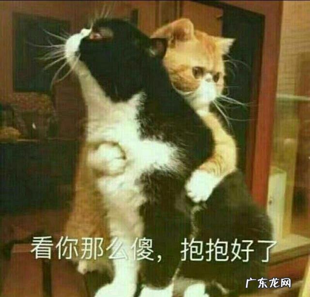 许嵩的《心疼你的过去》讲述了一个什么样的故事？