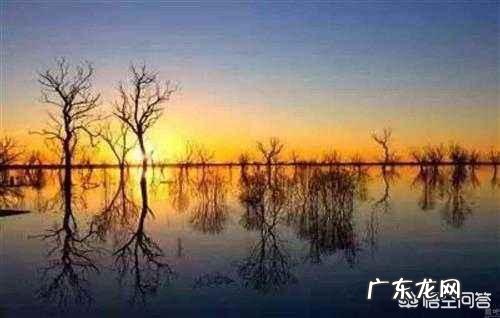 意境、意象、境界怎么区别?