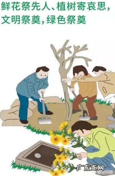 关于清明节，你知道哪些故事？