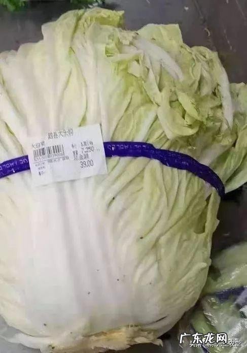 白菜产地两毛、超市1.5元,怎么能让菜农和市民共同享实惠?