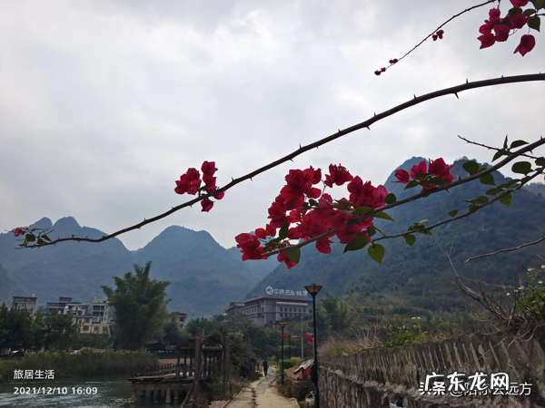 旅居D8-慕名而来长寿村 巴马长寿村租房价格