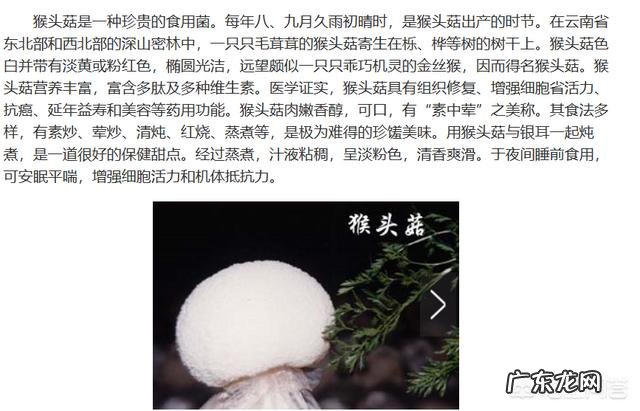 菌类食材都有哪些?