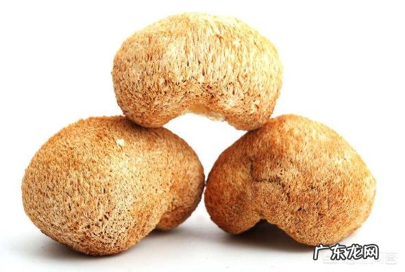 菌类食材都有哪些?