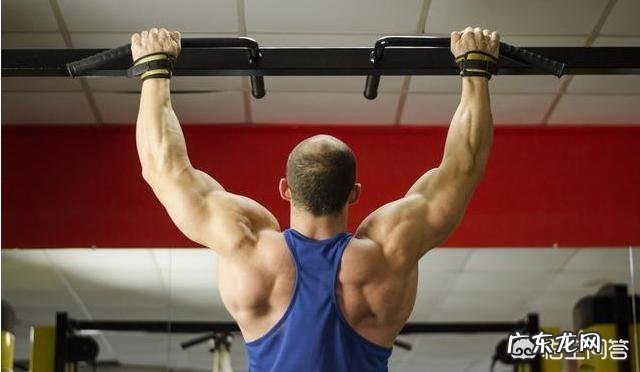 怎样才能提高引体向上的数量?