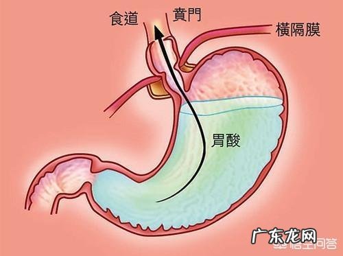 蜂蜜的功效与作用是什么？喝蜂蜜对胃有好处吗？