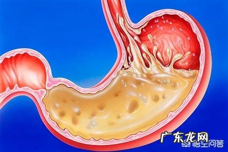 蜂蜜的功效与作用是什么？喝蜂蜜对胃有好处吗？