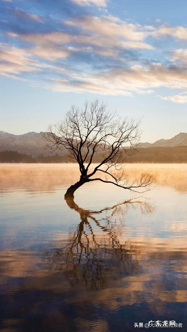 现在去云南报团1380包吃包住包机票,靠谱吗?