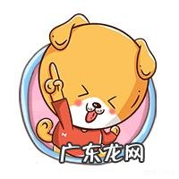 怎么教育刚开始上小学的孩子？