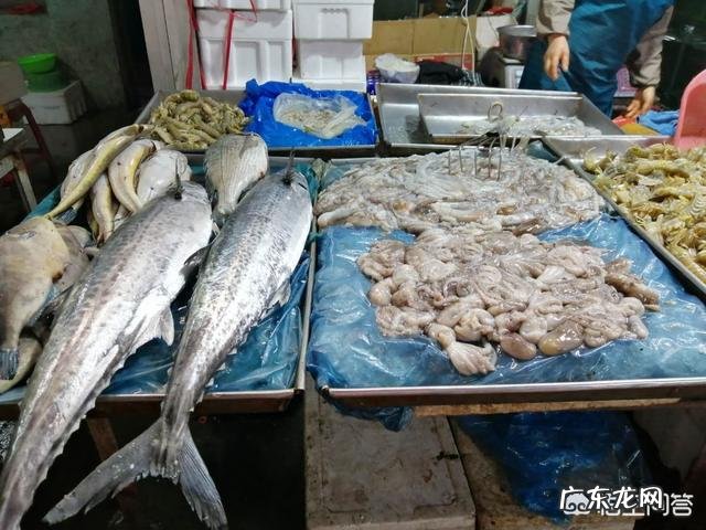 什么海鲜最便宜?