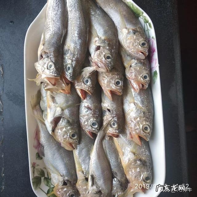 什么海鲜最便宜?