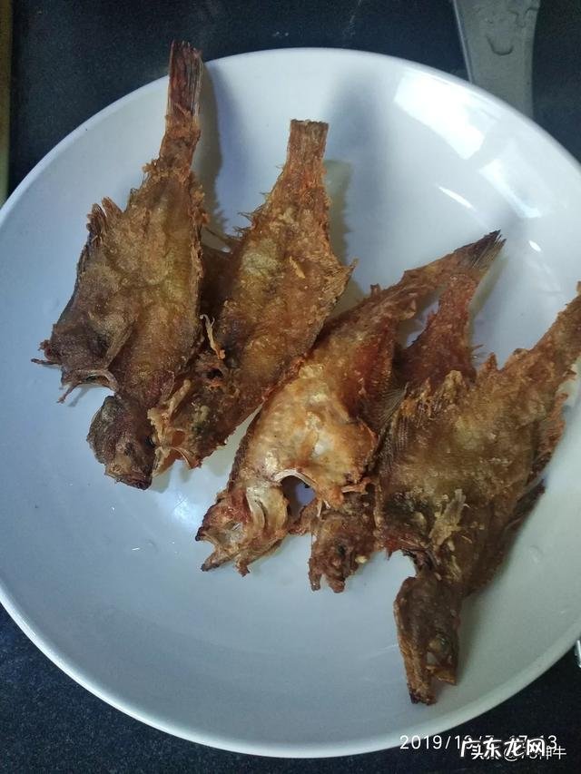 什么海鲜最便宜?