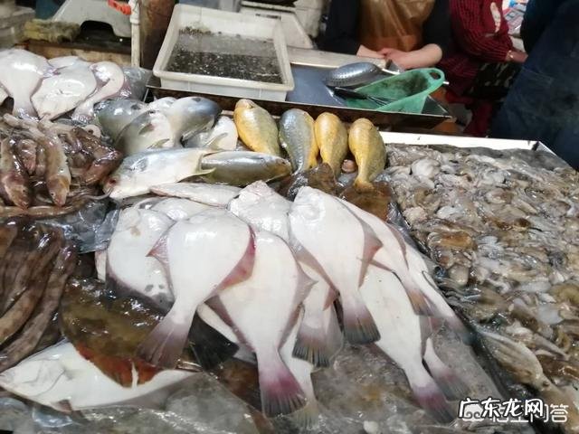 什么海鲜最便宜?