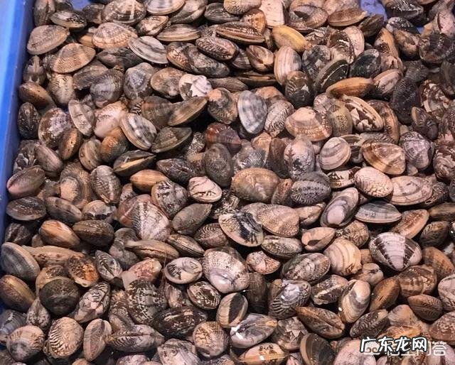 什么海鲜最便宜？