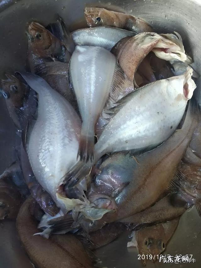 什么海鲜最便宜?