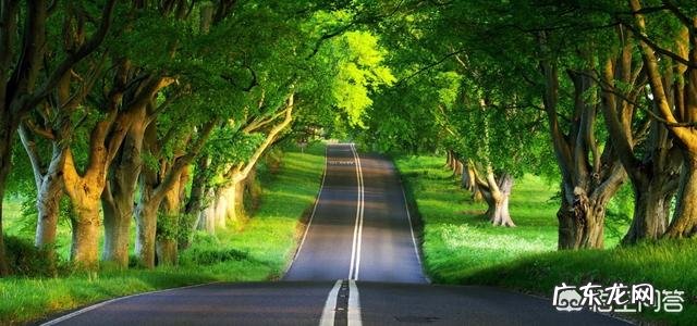 面对永远也无法挽回的损失，除了让自己想开点，还有什么方法解决？