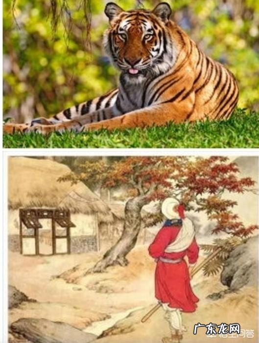 关公刮骨疗毒和武松打虎都是不可能完成的任务,你怎么看?