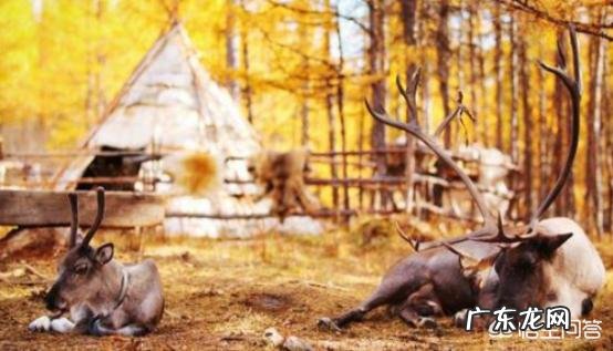 根河湿地附近有哪些景区?