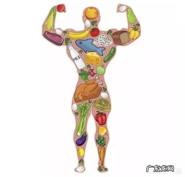 绝食或辟谷持续一个月，真的可以减掉脂肪吗？