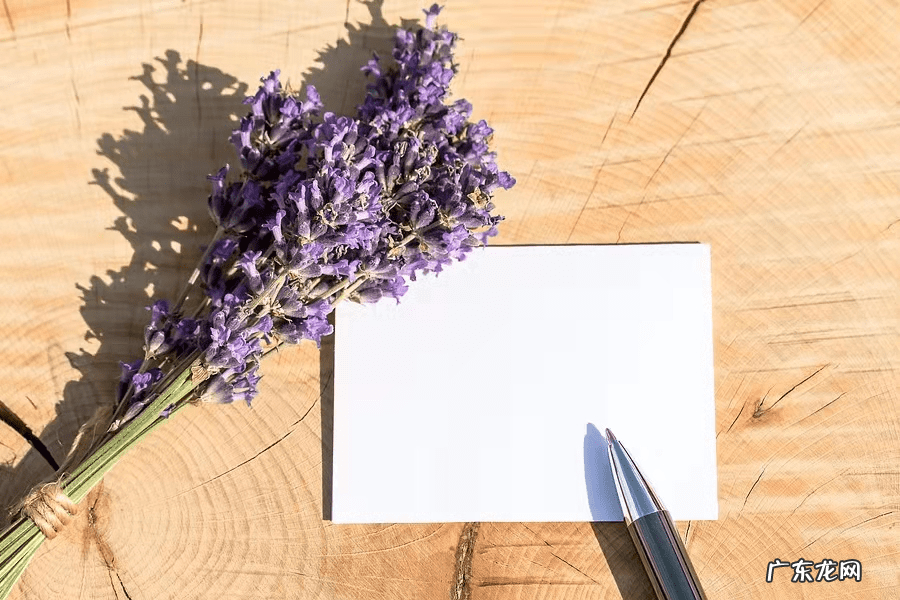 噪音大的房子风水好吗 长期居住在噪音大的房子里面会怎么样