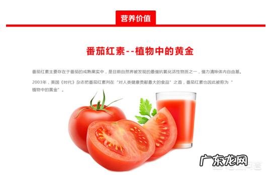 枸杞营养价值惊人,每天吃多少枸杞最养生?