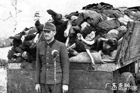 二战期间俄罗斯和乌克兰的关系为何闹僵了?