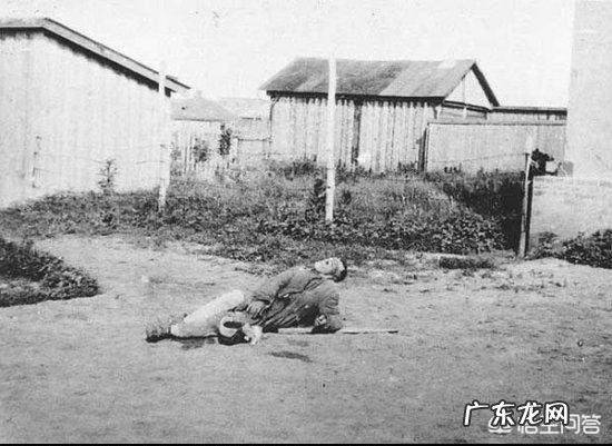 二战期间俄罗斯和乌克兰的关系为何闹僵了?