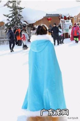 女人冬天穿短裙打底裤,是什么心理?