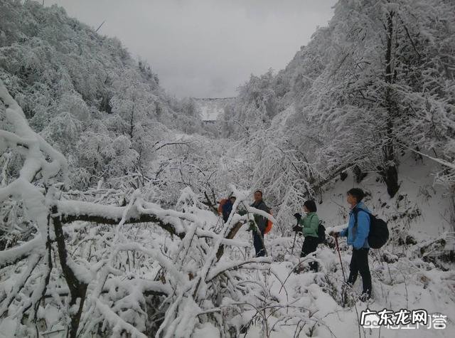 户外运动装备品牌哪家性价比最高?