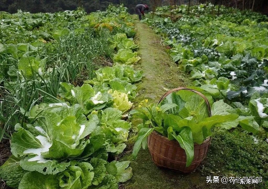 房屋朝山的风水 背靠山面朝水的房子风水