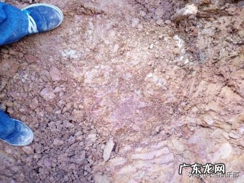 房屋朝山的风水 背靠山面朝水的房子风水