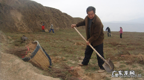 房屋朝山的风水 背靠山面朝水的房子风水