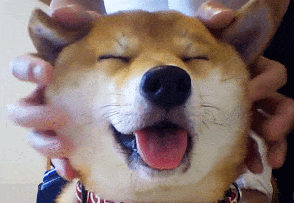 勾缠 纠缠不休什么意思