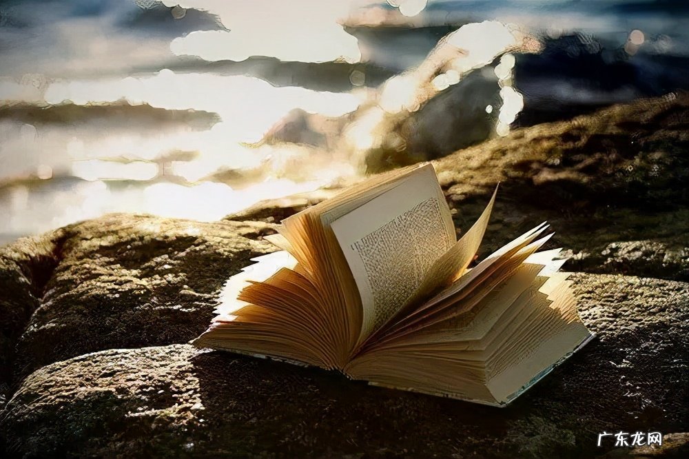 五年级下册作文450字 五年级作文450字以上