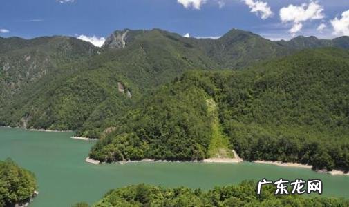 风水中的青龙是什么 房子青龙位是沟会花解吗风水