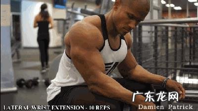 都知道健身哑铃,如何用哑铃进行健身?