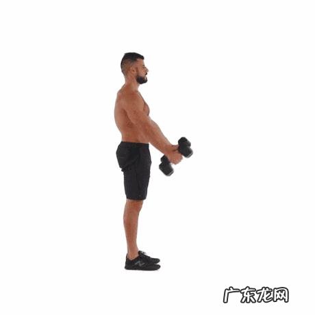 都知道健身哑铃，如何用哑铃进行健身？