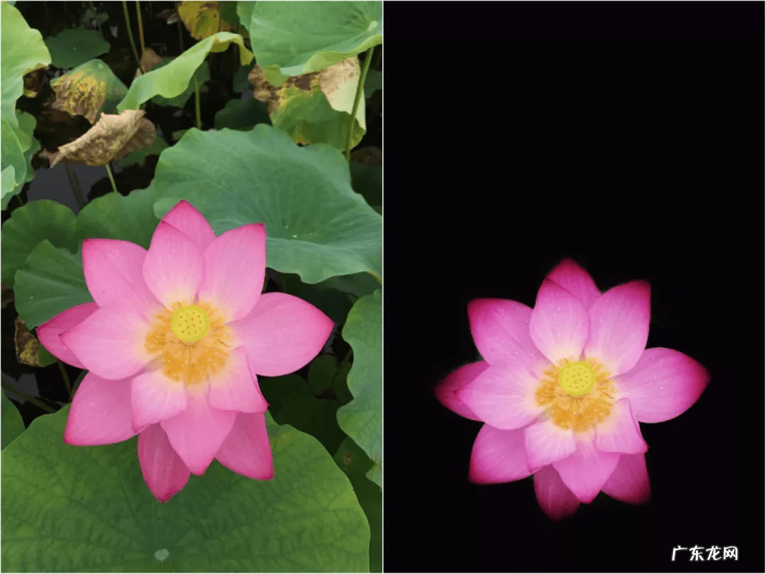 一张纯白色背景图片 纯白色背景图