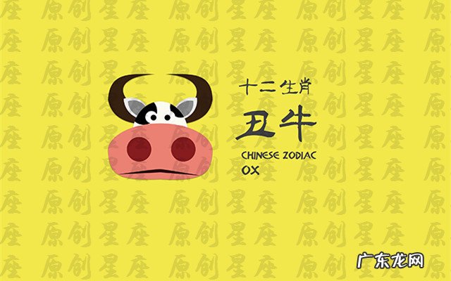 十二生肖看过来,手把手教你如何选择适合自己的好风水房子? 1304房号风水好不好